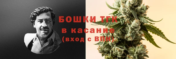 apvp Алексин
