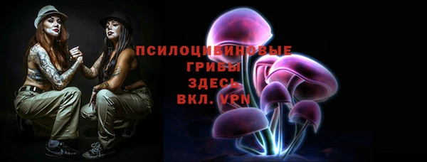 apvp Алексин