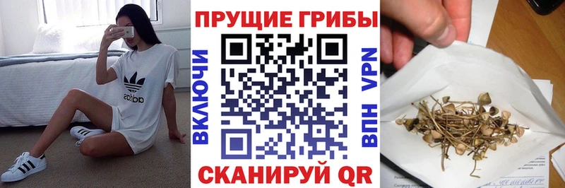 продажа наркотиков  Елизово  Псилоцибиновые грибы ЛСД 